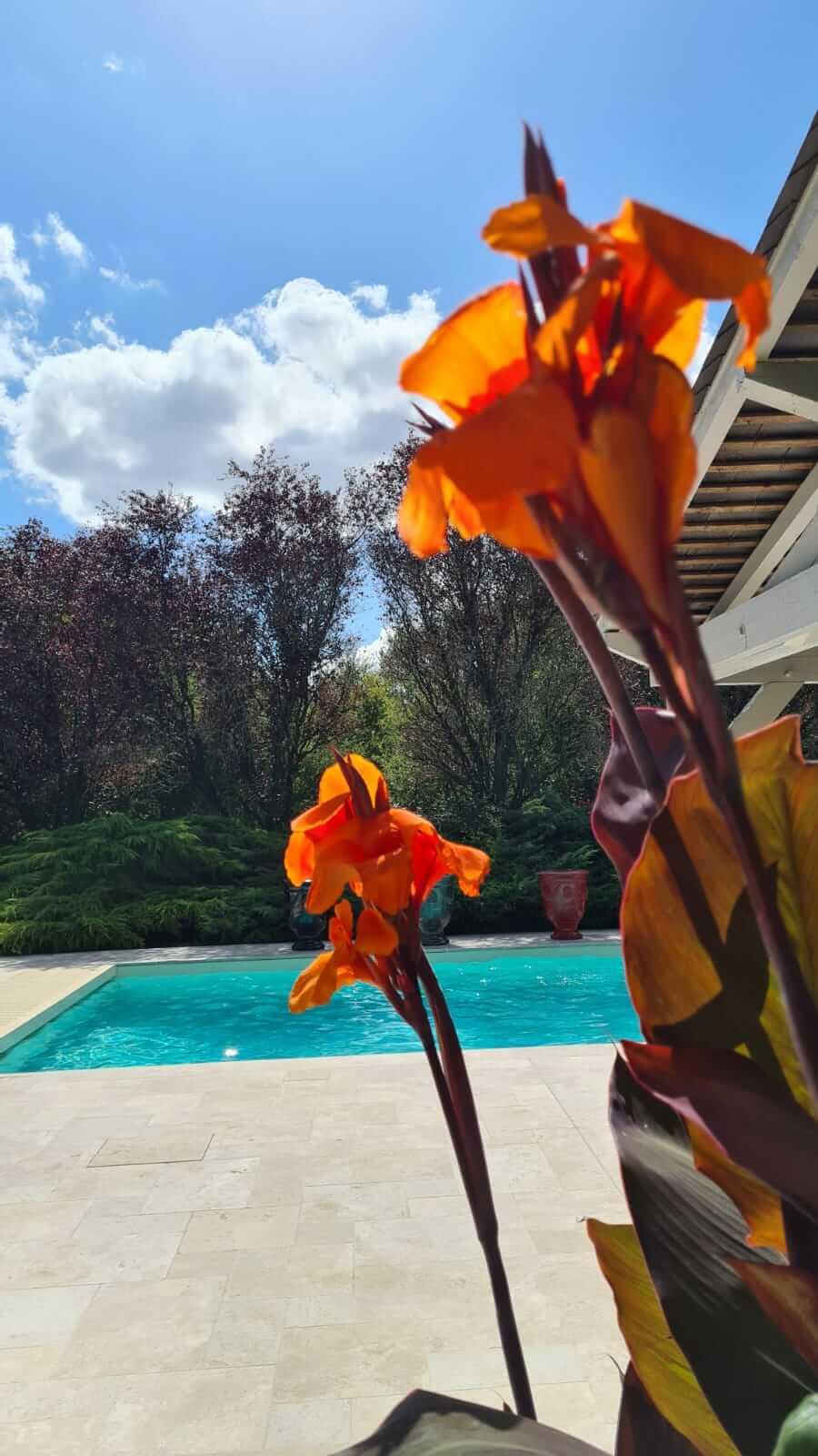 Feings  Domaine De La Blonnerie B&B 외부 사진